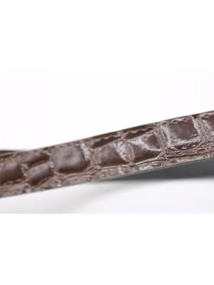 Brown Croc Embossed Vegan Leather Belt -18 Western Y2K Retro Silver Gold Buckle thumbnail 7