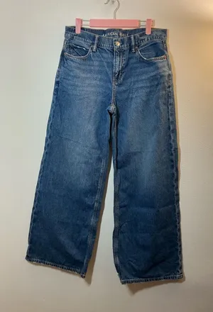 American Eagle Low-Rise Baggy Ultra Wide-Leg Jean Size 4 Regular thumbnail 1