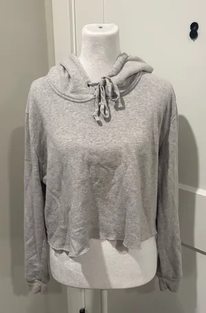 Brandy Melville Gray Cropped Hoodie Raw Hem Oversized thumbnail 1