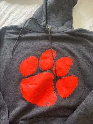 Clemson Champion Tigers Hoodie thumbnail 2