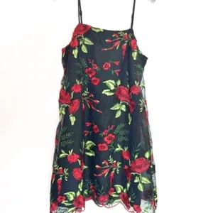 NWT Show me your mumu‎ lace slip dress risque rose thumbnail 4