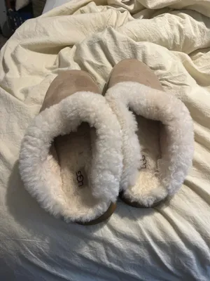 UGG Slippers thumbnail 2