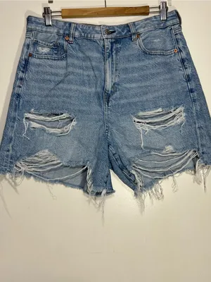 American Eagle Outfitters Light Blue baggy mom short size 12 thumbnail 2