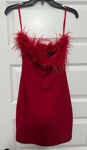 Windsor Dress thumbnail 1