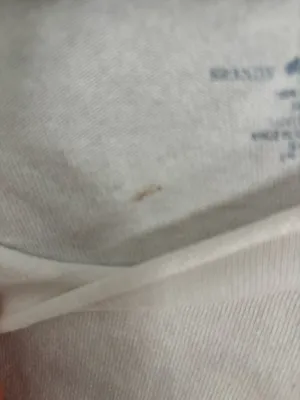 John Galt Brandy Melville thumbnail 3