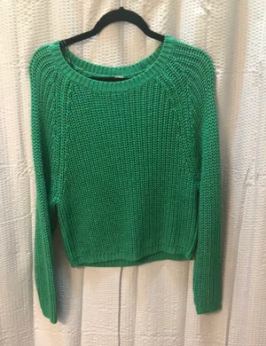 Divided Green Cropped Sweater thumbnail 1