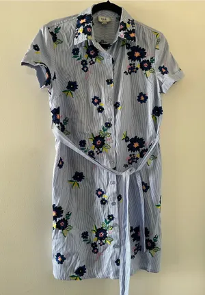 Eci Light Blue Floral Embroidered Pinstripe Shirt Button Up Mini Dress 4 Cottage thumbnail 1