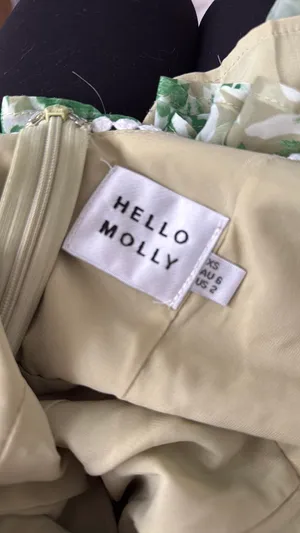 Hello Molly Dress thumbnail 3