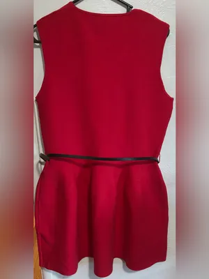 #80 NWT Zara Red Sleeveless A-Line Mini Dress Size Large thumbnail 4