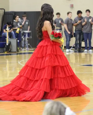 Sherri Hill Red Prom/Homecoming/ Pageant Dress thumbnail 3