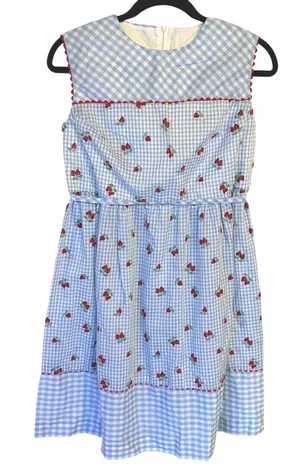 50s Baby Blue Gingham Dress Coquette Strawberry Cottagecore Picnic Retro Femme thumbnail 1