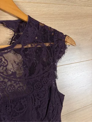 BB Dakota Dark Plum Lace Fit and Flare Mini Dress Size 0 thumbnail 5