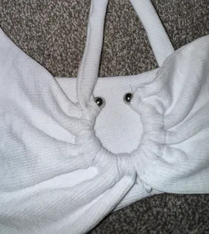 white Crop Top thumbnail 3