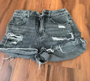 PacSun Shorts thumbnail 1