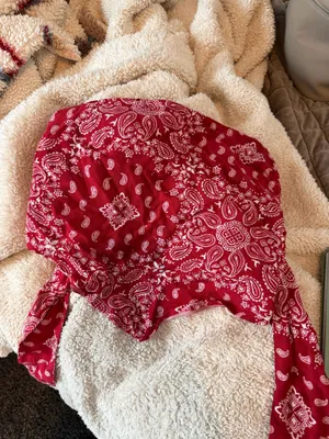 Bandana Top Hollister thumbnail 5