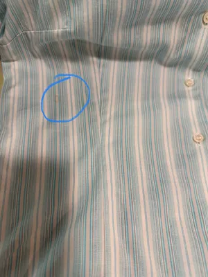 Express Design Studio Classic Fit Button Down Blouse thumbnail 8