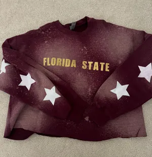Florida State Sweatshirt thumbnail 1