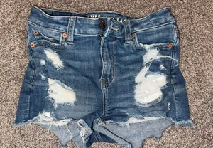 American Eagle Outfitters Shorts thumbnail 1