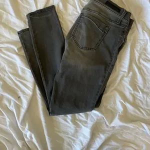 Express Stella Jean Legging Regular Fit Low Rise Size 8 Short Grey thumbnail 2