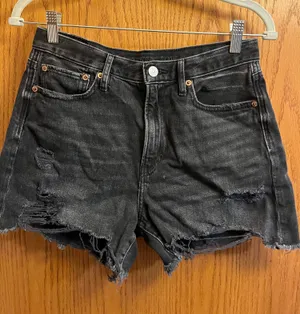 American Eagle Denim Shorts thumbnail 1