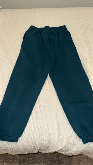 Aritzia Teal Mega Cozy Fleece Sweatpants thumbnail 3