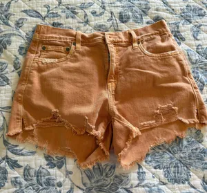 American Eagle Denim Shorts thumbnail 1