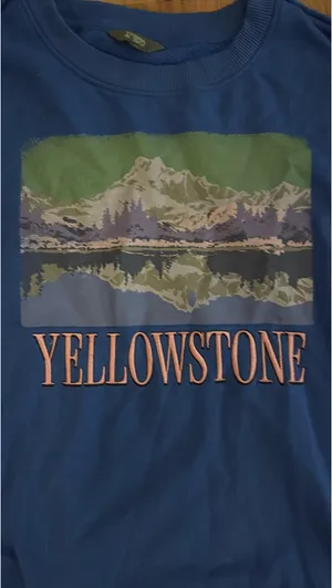 Yellowstone sweatshirt Blue Size undefined thumbnail 2