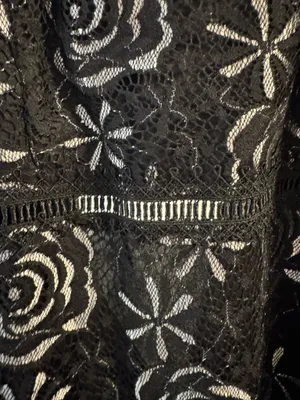 Francesca's Dress Black Lace thumbnail 5
