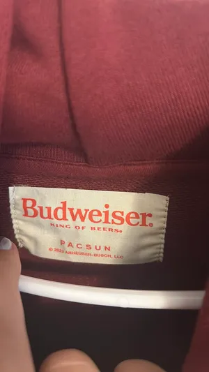 Budweiser Hoodie PacSun thumbnail 2