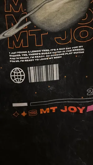 Mt. Joy T Shirt Black Size M thumbnail 3