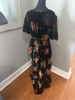 NWT Anthropologie Katerina Button Front Velvet Floral Whimsygoth Maxi Dress Med thumbnail 5