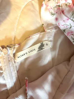 Altar'd State Aderny Mini Dress  thumbnail 4
