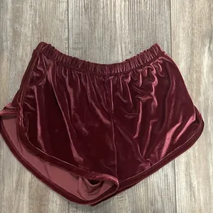 Brandy Melville Velvet Shorts thumbnail 2