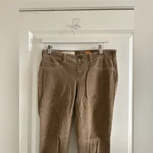 Pilcro Anthropologie Women Corduroy Regular Size 29 Pants thumbnail 2