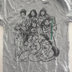 Disney Princess T-shirt Gray with Princess Graphic Size Small New with Tags thumbnail 2