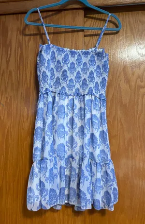 Aritzia Tempest Dress thumbnail 1