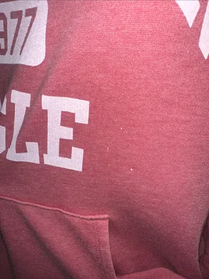 American Eagle Light Red Oversized Pullover Hoodie thumbnail 2