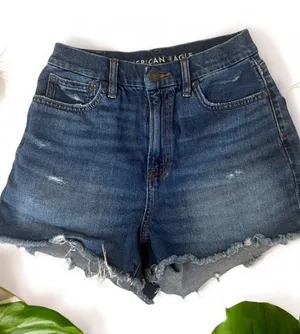 American Eagle Curvy 90’s Boyfriend Denim Shorts Size 2 thumbnail 1