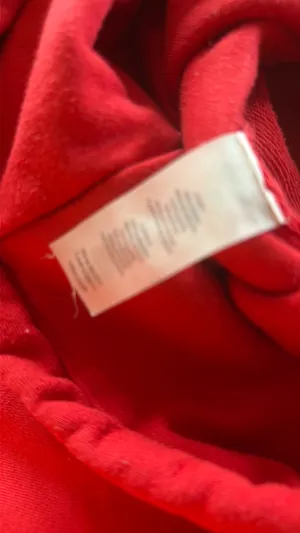 Alo Yoga Hoodie thumbnail 4