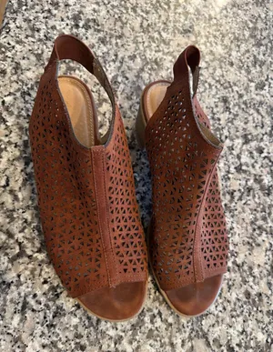 Brown Peep-Toe American Eagle Wedge Sandals, size 9 thumbnail 1