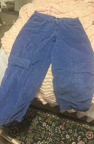 Urban Outfitters Corduroy BDG Pants thumbnail 1