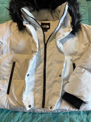 North Face Down The 550 Jacket thumbnail 4