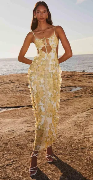 Dress thumbnail 1