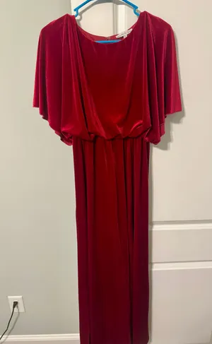 See And Be Seen Red Maxi Velvet Dress thumbnail 1