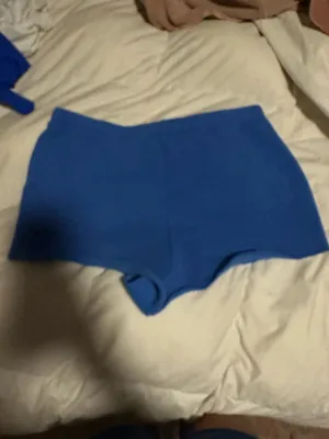 Blue Brandy Melville Sweat Shorts thumbnail 2