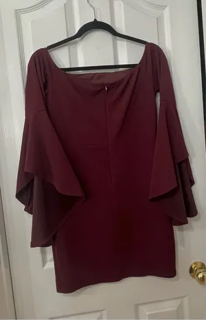Windsor Elegant Burgundy Dress thumbnail 4