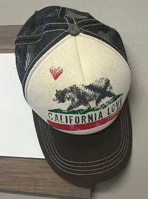 Billabong California Love Adjustable Trucker Hat Nature Bear Outdoor Unisex thumbnail 1
