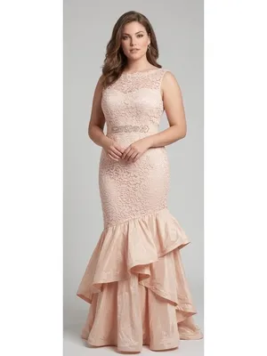 NWT Rickie Freeman for Teri Jon Lace & Taffeta Gown in Blush Pink Dress 16 thumbnail 2