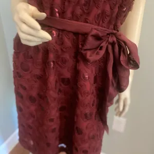 Nwt Anthropology Wine Boardx 3 -D Floral Dress Sz‎ 10 thumbnail 9