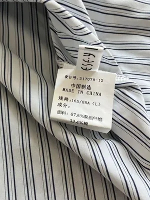 Aritzia Style Cotton Blend Striped Oversized Poplin Shirt thumbnail 5